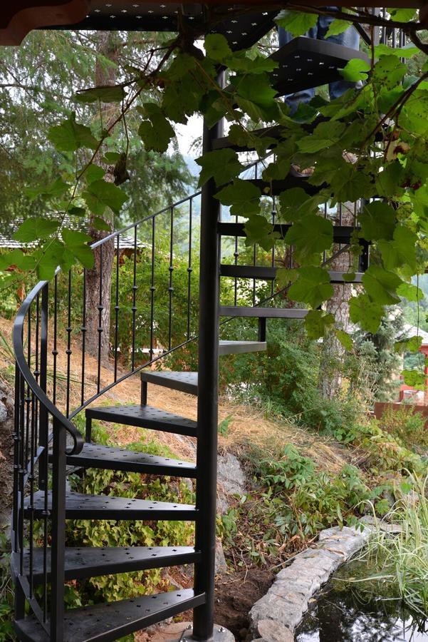 Sunshine Villa B&B Madeira Park Exterior foto
